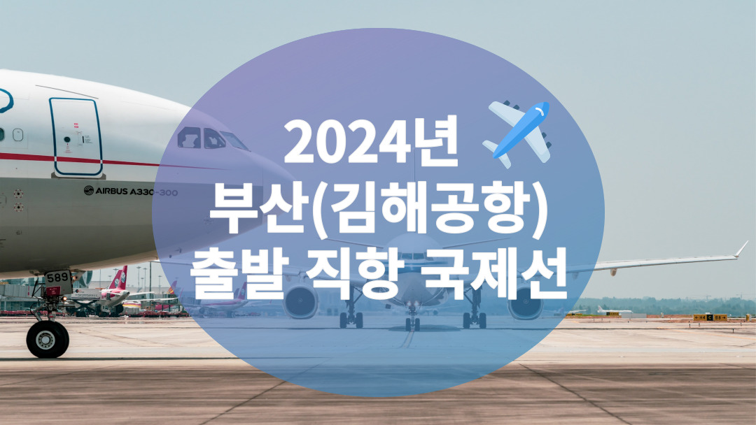 2024년 부산(김해공항) 출발 직항 국제선