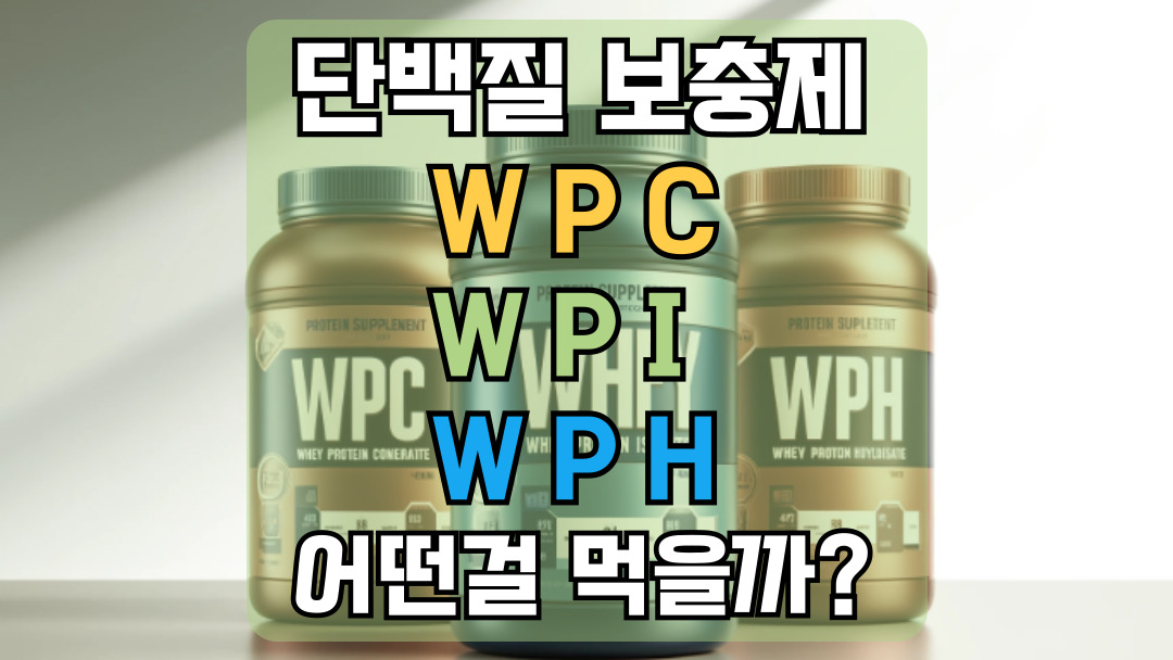 단백질 보충제 WPC, WPI, WPH의 차이! 어떤걸 먹을까